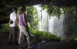 Crystal Shower Falls, Dorrigo National Park, Mid-North Coast