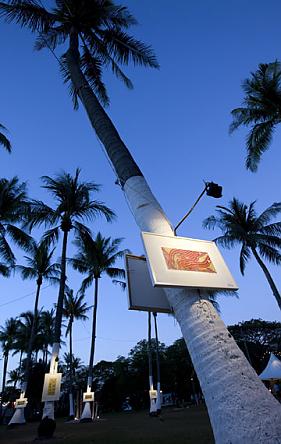 botanic gardens,  Galuku Gallery, Darwin Festival