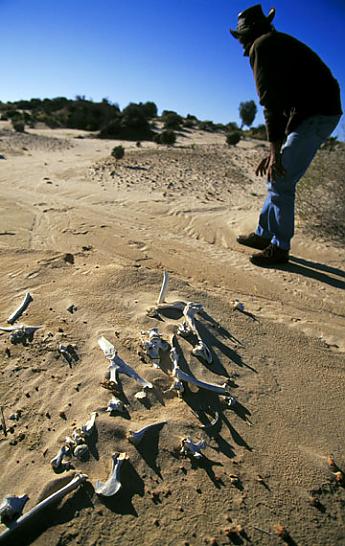 Harry Nanya Tours at Mungo National Park, Outback
